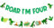 Jollyboom Dinosaurier 4 Geburtstag Dekorationen Banner, Roar I'm 4 Dinosaurier Party Dekorationen Banner Girlande für Dinosaurier Geburtstag Dekoration 4 Jahre Old Boy Four Ever Wild Geburtstagsfeier