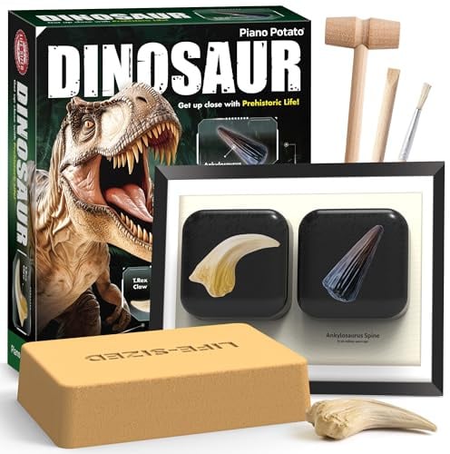 Piano Potato Dinosaurier Ausgrabungsset für Kinder - Grabe T.Rex Kralle & Ankylosaurus Stachel aus, Erstelle Deine Fossil Display, STEM Wissenschaft Spielzeug Geschenk Jungen Mädchen ab 6-12 Jahren