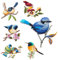 Patches zum Aufbügeln Birdie Buegelbilder Bestickte Patches Sticker Gestickte Aufnäher Applikation für DIY Kleidung Jeans T-Shirt Jacken Rucksäcke (Kombination 6 Stück)