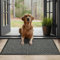 GULLAMBO Non Slip Large Entrance Door mat and Pet Rugs 80cm x 60cm– Indoor–Outdoor Patio Kitchen Bath Office Bedroom Rubber Backed Super Dirt Trapper Absorbent for Muddy Paws Washable