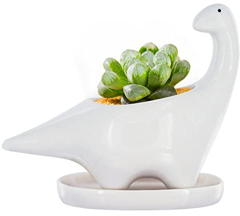 GeLive Weißer Dinosaurier-Keramik-Pflanzgefäß für Sukkulenten, Blumenkasten mit Untersetzer, Cartoon-Tierdekoration, 12,7 cm, für drinnen und draußen