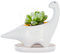 GeLive Weißer Dinosaurier-Keramik-Pflanzgefäß für Sukkulenten, Blumenkasten mit Untersetzer, Cartoon-Tierdekoration, 12,7 cm, für drinnen und draußen