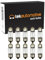 Tek Automotive 269 Kennzeichenlampe, Auto-Innenbeleuchtung, 12 V, 10 W, S8.5D, 11 x 30 mm, Soffittenlampen, 10 Stück