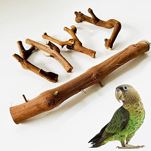 Allazone Sitzstangen Vögel, Papageien Sitzstangen aus Naturholz, Naturholz Sitzstangen Mehrfach Gegabelter Traubenzweig für Vogelkäfige, Vogelschleifklauen Klettern Stehend Vogelkäfig Zubehör