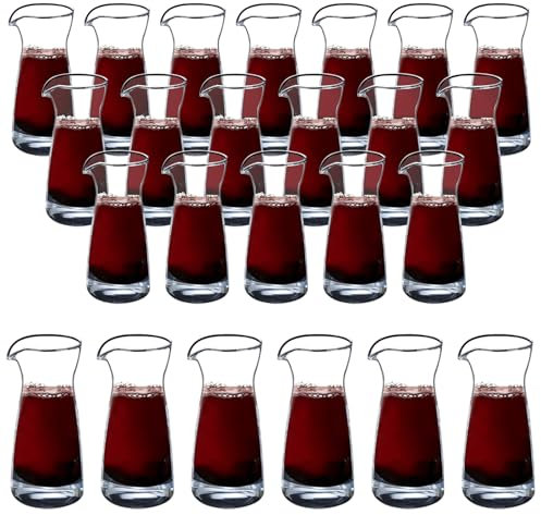 Inevoc Wine Decanter,Inevoc 24 Pack Single Serving,Mini Size Decanters,Small Individual Wine Carafes,Wine Carafe Decanter,Small Carafe for Wine Dinner Parties,Wine Tastings Transparent