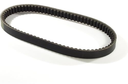 Keilriemen Malossi Special Belt für Piaggio, Vespa Ciao, PX50 (80mm Riemenscheibe)
