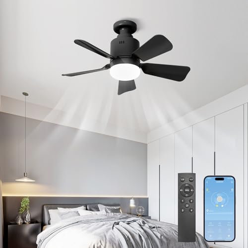 AHRHSM Ventilatuer-du-plafond-avec-lumière-et-télécommande 45CM Lampe Ventilateur Plafond Silencieux et APP plafonnier ventilateur 4 vitesses lampe ventilateur plafond LED à gradation 24 W (noir)