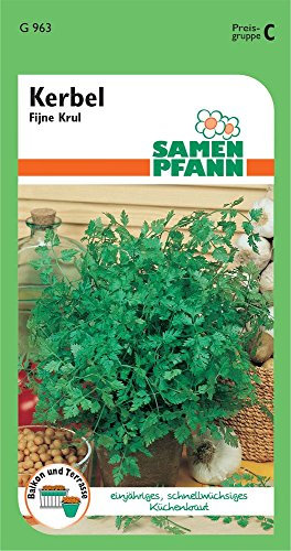 Samen Pfann G963 Kerbel Fijne Krul (Kerbelsamen)
