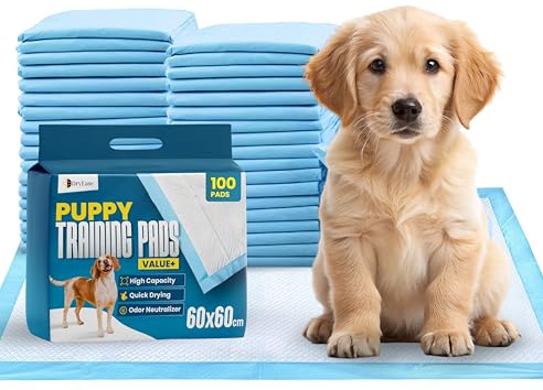 DryEase 100 x Large Puppy Pads 60x60cm | Highly Absorbent Dog Training Pads | Puppy Training Pads Disposable | 5-Layer Leak-Proof, Quick-Dry Dog Pads with Odour Neutraliser for Puppies, Dogs & All Pets.
