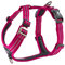 DOG Copenhagen Hundegeschirr - Comfort Walk Air Version 2 - Brustgeschirre für Hunde, Wild Rose, XL