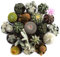 Mini Cactus Naturales | DECOALIVE | Pack 10 Plantas | Plantas Crasas para el Hogar