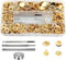 80 Sets Druckknöpfe Set, BetterJonny Messing Druckknöpfe Φ15mm Kupfer Druckknöpfe Metall Bronze Kleidung Druckknöpfe mit Fixierwerkzeug Kit für Leder Jeans Jacke Brieftasche Handtasche, Gold