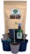 Growing Corp. Cannabis Anbau Starter-Kit/Set für drei Gras/-Weed Pflanzen inkl. Anbauanleitung und Zubehör 18-teilig