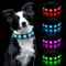 AUAUY Hundehalsband Leuchtend, LED Leuchthalsband Hunde Halsband USB Wiederaufladbar Wasserdichtes für Kleine Mittlere Große Haustier Einstellbar Sicherheit Kragen mit 3 Beleuchtungsmodi (Blau-L)