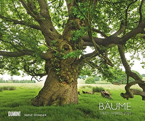 Bäume - Kalender 2024 - DUMONT-Verlag - Fotokunst-Kalender - Wandkalender - 60 cm x 50 cm