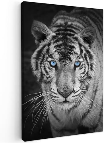 MuchoWow© Leinwandbilder 60x90 cm Wall Art Decoration Bilder für die Wand Schlafzimmer Deko Canvas Painting Wanddekoration Wohnzimmer Tiger - Tier - Schwarz - Blau - Modern