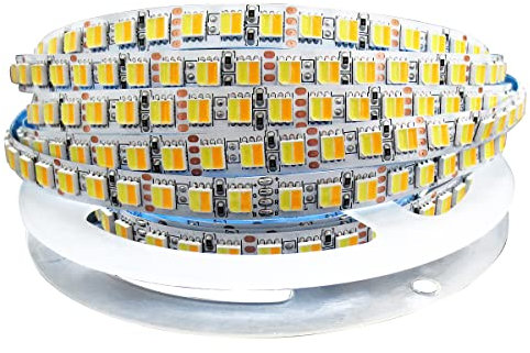 Tesfish 12V 2 in 1 LED Streifen CCT Kaltes Weiß + Warmweiß, Farbtemperatur einstellbar (2800K bis 6500K) 5M Strip Lichtband IP20 Gesamt 600 LEDs band Lichtleiste