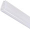 MACHSWON Frameless Glass Shower Door Sweep for 0.31inch(8mm) Glass, U Shape Door Bottom Side Seal Strip with 8mm Drip Rail, Bath Shower Screen Door Seal, 2M Long White