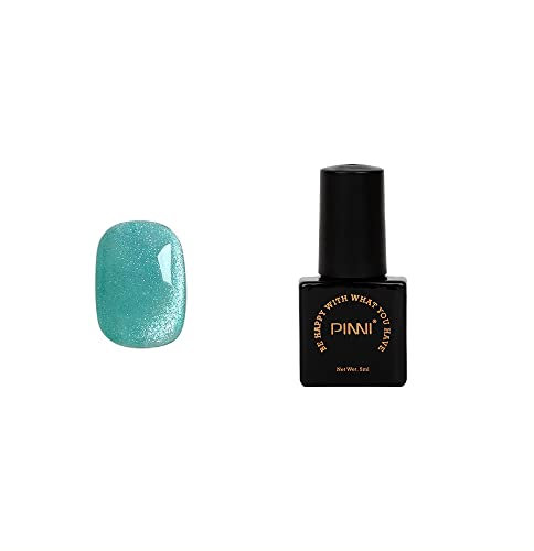 PINNI Katzenauge Gel Nagellack 3D Magnetischer Glitzer Auroras Schneelicht Pastellfarben UV LED Semi-Permanent Soak Off Maniküre Nail Art Design 5ml, Türkis