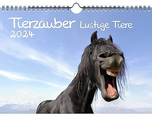 Tierzauber lustige Tiere DIN A4 Kalender für 2024 Lustige Momente mit Tieren - Seelenzauber