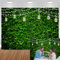 Bovlleetd Grüne Blätter Fotografie Kulissen Greenery Blatt Natur Gras Wand Hintergrund für Geburtstag Hochzeit Baby Dusche Party Hintergrund Kinder Portrait Photo Booth Requisiten Vinyl 300x200cm