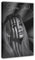 zxjwcm Shirin David Poster auf Leinwand, Schlafzimmer, Dekoration, Landschaft, Büro, Raumdekoration, Geschenkrahmen: 30 x 45 cm