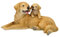 Figuren Shop GmbH Gartenfigur Golden Retriever mit Welpe – Lebensechte HotAnt Hundefigur, 30 cm Breite, wetterfest & handbemalt