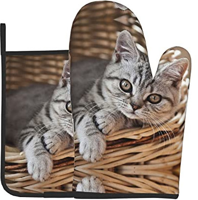 Set di 2 guanti da forno per gatti e presine per pentole calde, per cucinare, barbecue, cucina, regalo per chef, amanti, mamma