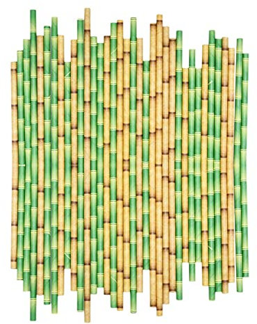 Puooifrty 200 PièCes Vert Jaune Bambou Motif Papier Pailles Jus Cocktail Paille à Boire pour Mariage Bar Jungle FêTe Fournitures