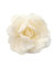 KABELIFE Elegante Damen Accessoires Haarblumen Haarblüte Haarspange Haarschmuck Blumen Brosche Ansteckblume viele Farben (Beige)