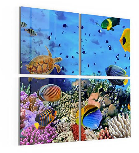 DEQORI Glasbilder Acrylglas | Motiv Lebensraum Korallenriff | quadratisch 4-teilig 100x100 cm | große XXL Deko | Wandbilder für Wohnzimmer, Schlafzimmer, Flur & Küche | moderne Wanddeko