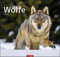Wölfe - Kalender 2021 - Weingarten-Verlag - Fotokalender - Wandkalender mit wundervollen Aufnahmen - 47,8 cm x 45,8 cm
