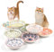 Katzennapf Flach Katzenfutter Napf Futternapf Katze Keramik Katzenteller Katzenschüssel Fressnapf Katze Napf Katzenfressnapf Katzen Napfset Futternapf Fressnapf Katze Keramik Futterschale (8 pcs)