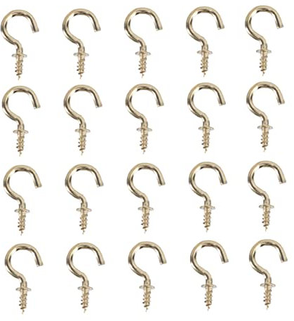 Ciieeo 50 Pièces Crochets à Vis Crochets Autotaraudeurs Robustes pour Accrocher Facilement Jardin