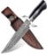 Japaknives Outdoor Messer, Jagdmesser mit Ebenholz Griff und Federmuster, D2 Stahl Feststehende Klinge Survival Messer mit Holster Gürtelmesser Für Camping, Angeln,Trekking, Bushcraft