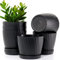 MUAEEOK Lot de 6 pots de fleurs en plastique avec trous de drainage et soucoupes pour intérieur et extérieur Noir 18 cm