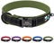 PET ARTIST Benutzerdefinierte Reflektierendes Hundehalsband mit Namen, Komfort Neopren Gepolstertes Hundehalsband mit Metallgürtelschnalle für Kleine Mittelgroße Hunde, Grün M