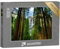 Puzzle 1000 Teile XXL „Yosemite Wasserfälle hinter Sequoias in Yosemite National Park, Kalifornien“ – aus der Puzzle-Kollektion Kalifornien