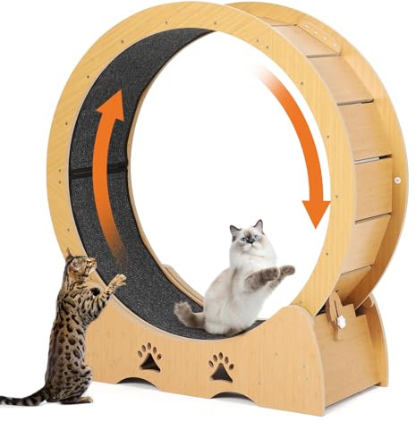 Katzenlaufrad Extra Groß 87 cm, Ultraleises Laufrad Katze mit Teppichmatte, Spielzeug-Set & Sicherheitsverriegelung, Stabil für Alle Katzenrassen