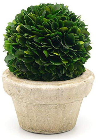 Serene Räume Living erhalten Buchsbaum-Kugel mit Topf klein – natur Greenery, einfacher Pflege, 14 x 10,2 cm