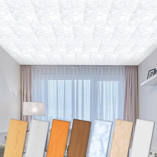 HEXIM Deckenpaneele aus XPS 100x16,7cm - Moderne Deckenverkleidung aus Styropor Kunststoff (20 Quadratmeter P-53) Deckenplatten feuchtraumgeeignet