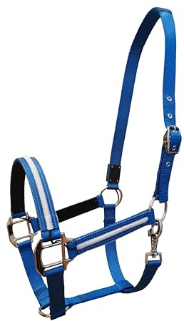 Reinecke Equestrian Leuchthalfter Lichthalfter Sicherheitshalfter Stallhalfter Weidehalfter LED-Nylonhalfter Dreamlight (Cob, Blau)