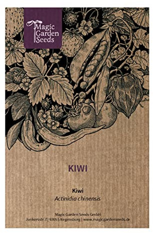 Kiwi (Actinidia chinensis) - ca. 100 Samen