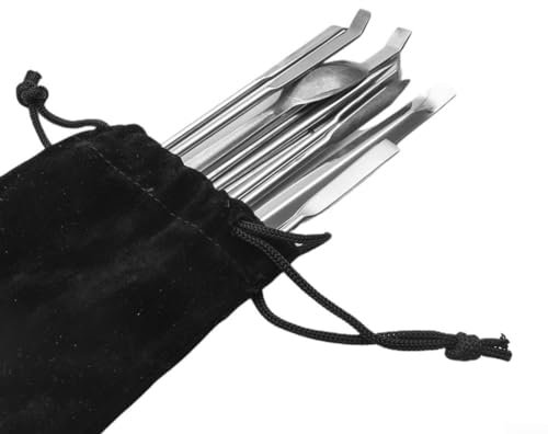 Set di spatole da laboratorio in acciaio inossidabile resistente, 12 pezzi, efficiente, ideale per esperimenti di laboratorio e manipolazione di polveri