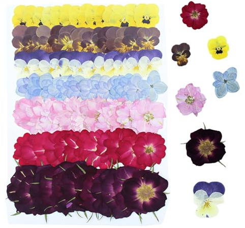 Tastetreasure 49 flores prensadas secas naturales, 8 variedades, kit de flores secas reales para arte de resina, manualidades, álbumes de recortes, fabricación de velas y decoración de tarjetas hechas
