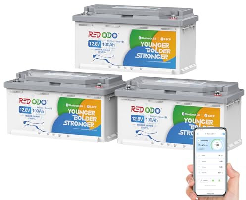 Redodo 12V 100Ah Bluetooth(3 Pack) Batterie Lithium,Batterie LiFePO4 avec Protection Low-Temp,BMS 100A,1280Wh,Rechargeable,Hauteur 189MM,Batterie de Remplacement Plomb-Acide Parfaite pour Camping-Car