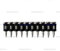 1000x Clous en bande 19mm - pour Hitachi, Tjep, Bea, Prebena, Senco
