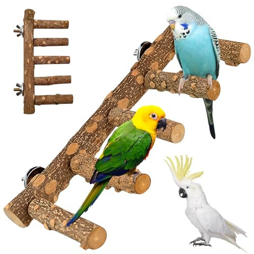 Natur Sitzstangen für Vögel, Sitzstangen Vögel Spielzeug Holzleiter, Natur Sitzstangen Set für Vögel, Natürlicher Sitzstangen für Vögel Holz für Kanarienvogel, Wellensittiche, Liebesvögel, 11×31 cm