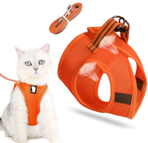 Katzenleine Mit Geschirr Für Katzen, Hundegeschirr, Cat Harness and Leash, Outdoor Walking