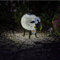 Garden Mile Solarbetriebene beleuchtete Schafe für den Außenbereich, LED-Garten- oder Terrassenlichter, Neuheit Solar-Gartenleuchten, Garten LED Tierornamente Dekoration (Schaf)